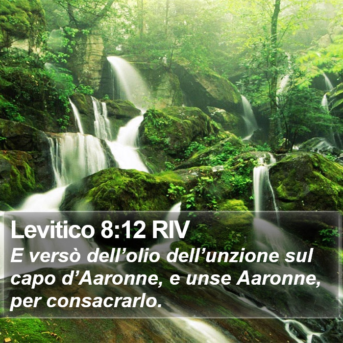 Levitico 8:12 RIV Bible Study