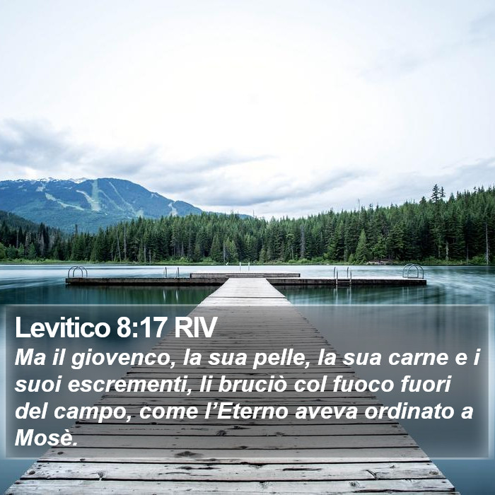 Levitico 8:17 RIV Bible Study