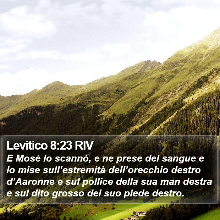 Levitico 8:23 RIV Bible Study