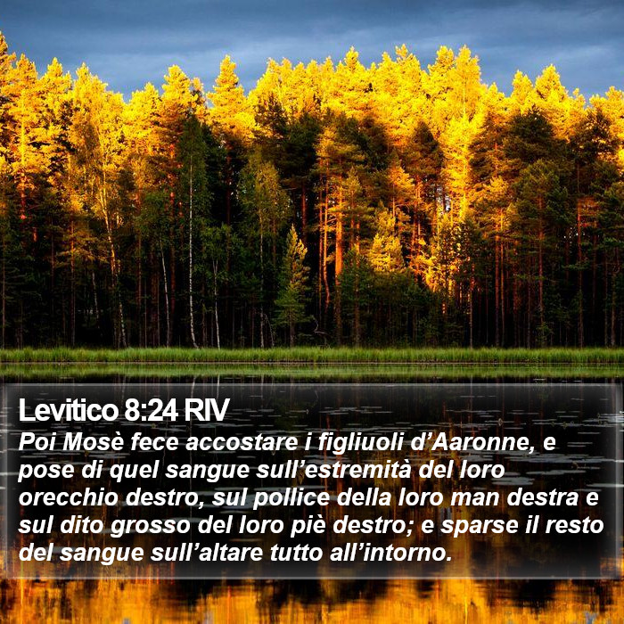 Levitico 8:24 RIV Bible Study