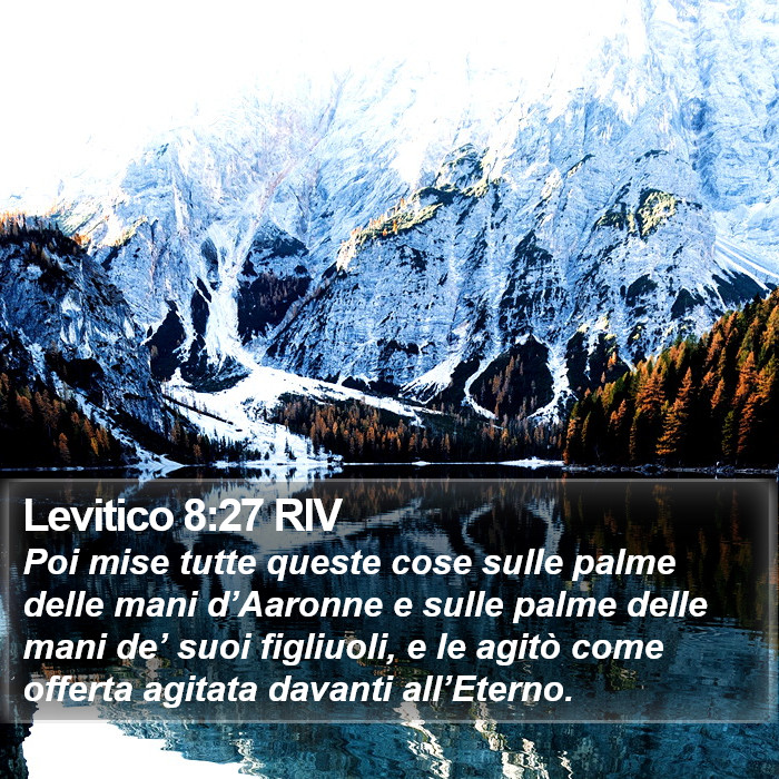Levitico 8:27 RIV Bible Study