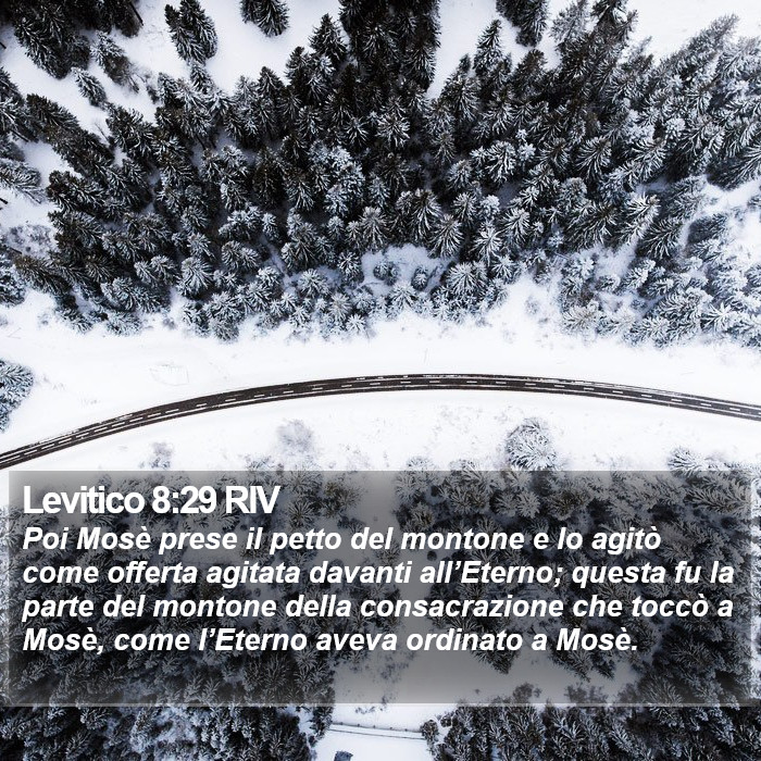 Levitico 8:29 RIV Bible Study