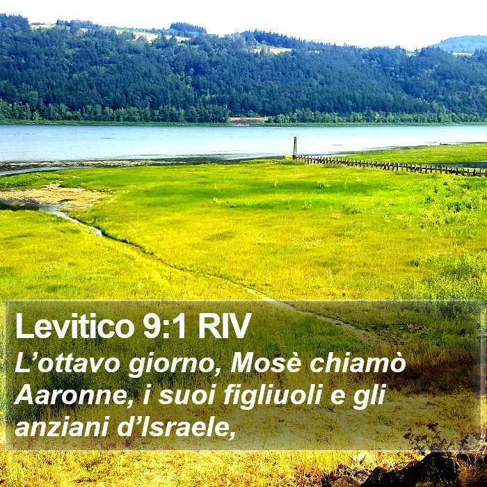 Levitico 9:1 RIV Bible Study
