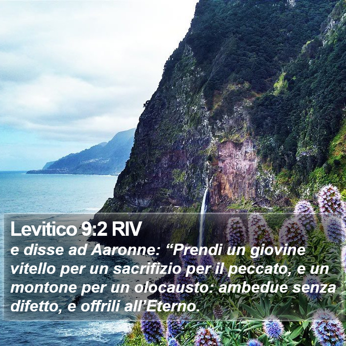 Levitico 9:2 RIV Bible Study