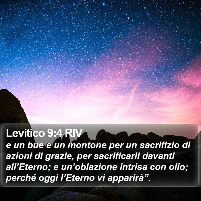Levitico 9:4 RIV Bible Study