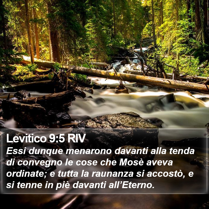 Levitico 9:5 RIV Bible Study