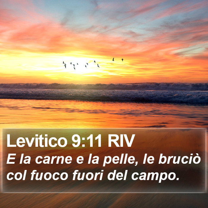 Levitico 9:11 RIV Bible Study