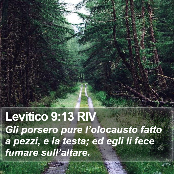Levitico 9:13 RIV Bible Study