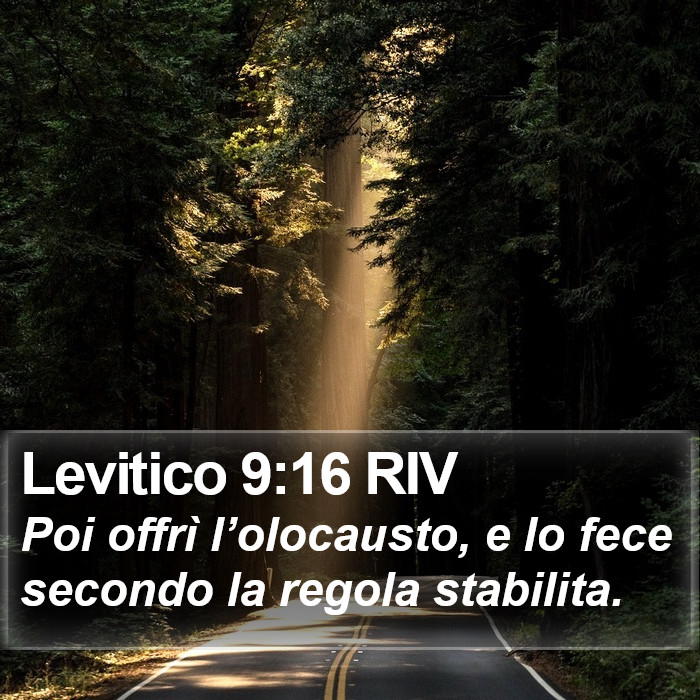 Levitico 9:16 RIV Bible Study