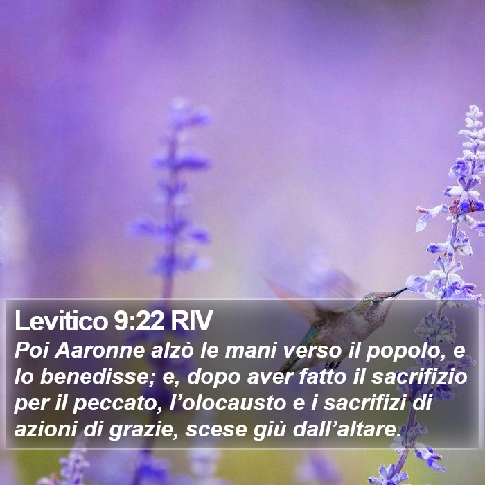 Levitico 9:22 RIV Bible Study