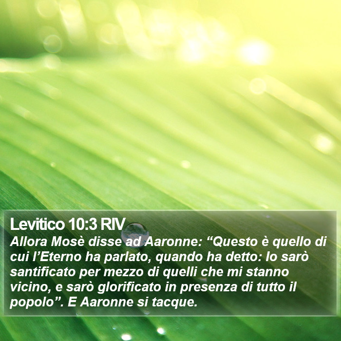 Levitico 10:3 RIV Bible Study