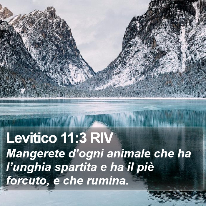 Levitico 11:3 RIV Bible Study