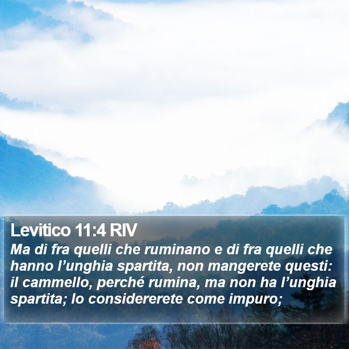 Levitico 11:4 RIV Bible Study