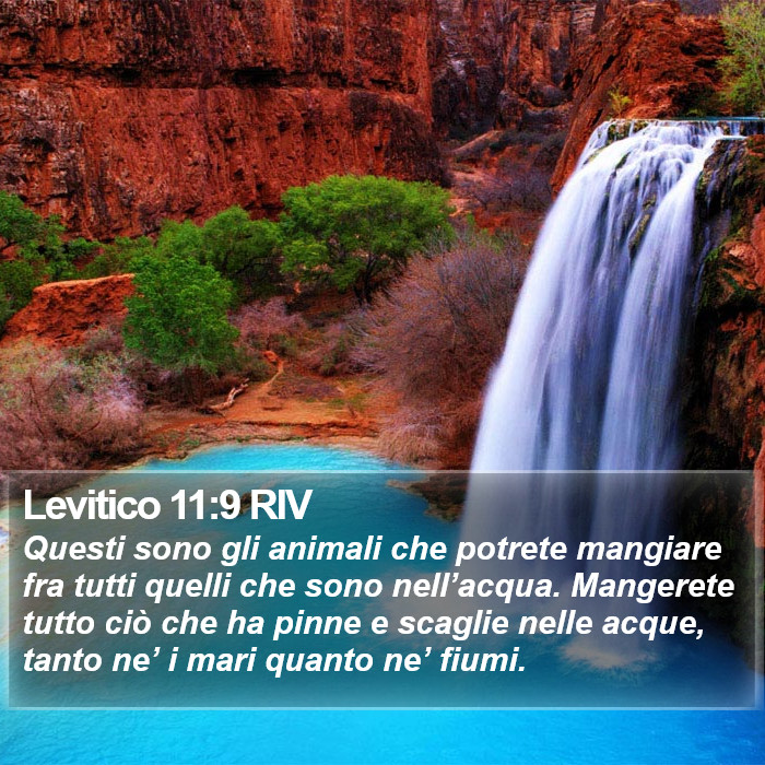 Levitico 11:9 RIV Bible Study