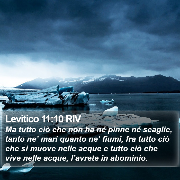 Levitico 11:10 RIV Bible Study