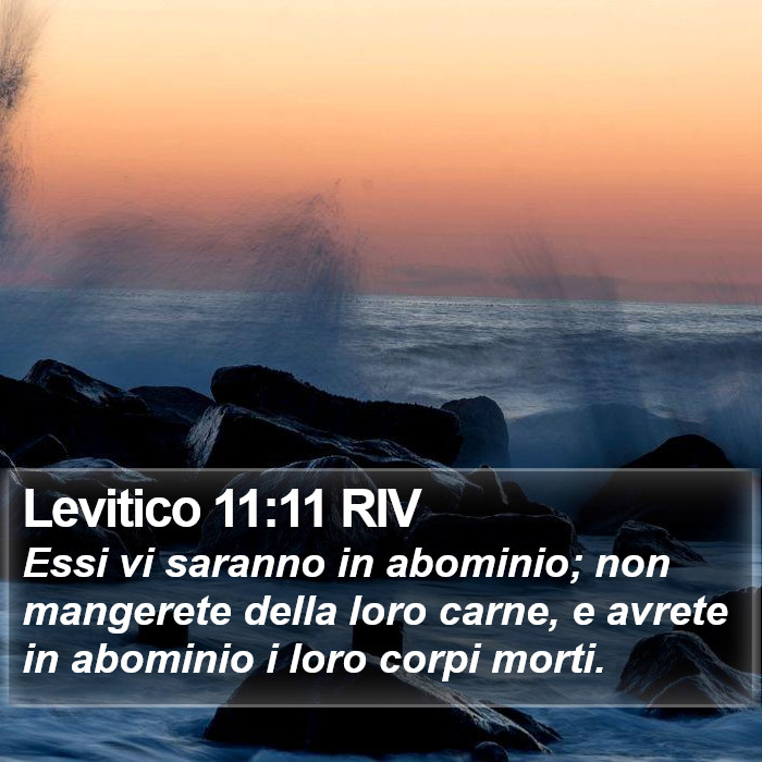 Levitico 11:11 RIV Bible Study