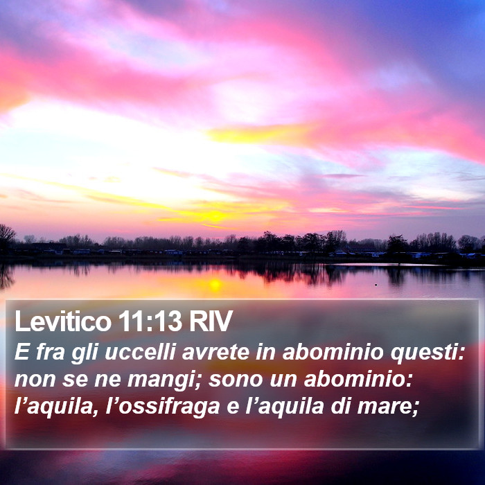 Levitico 11:13 RIV Bible Study