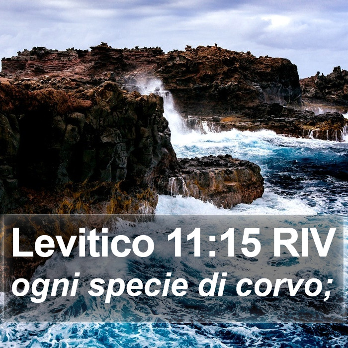 Levitico 11:15 RIV Bible Study