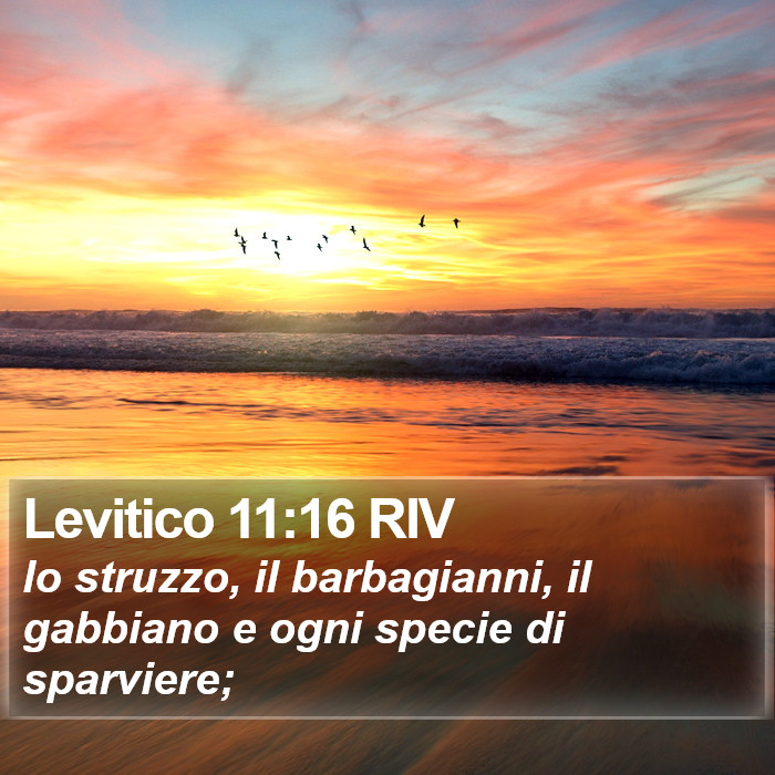 Levitico 11:16 RIV Bible Study