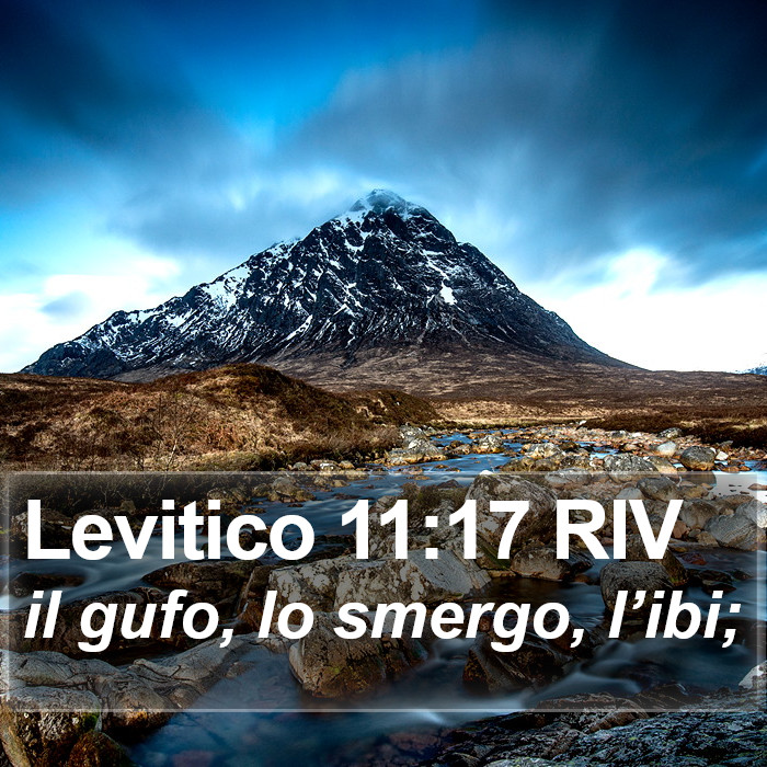 Levitico 11:17 RIV Bible Study