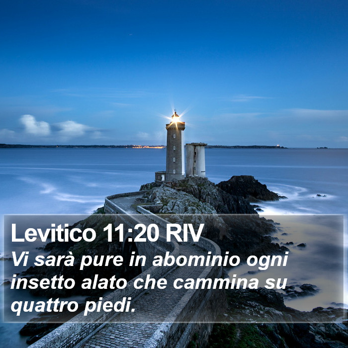 Levitico 11:20 RIV Bible Study