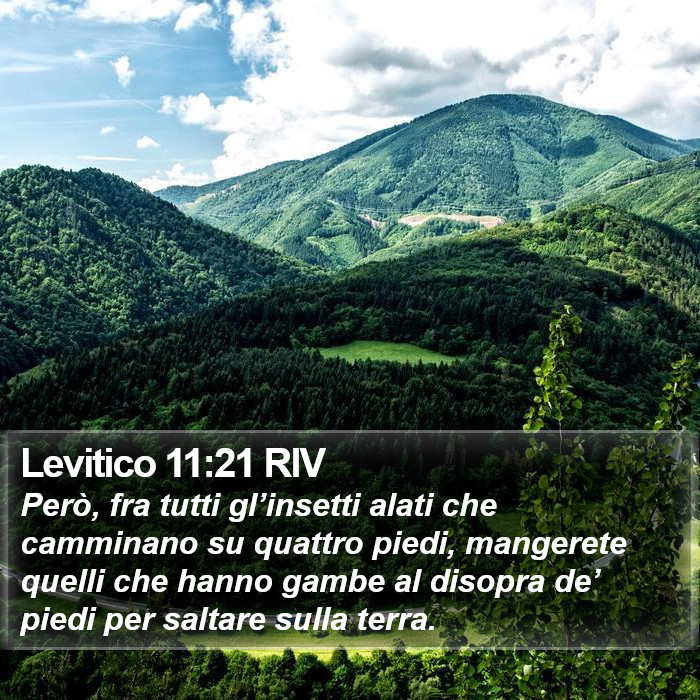 Levitico 11:21 RIV Bible Study