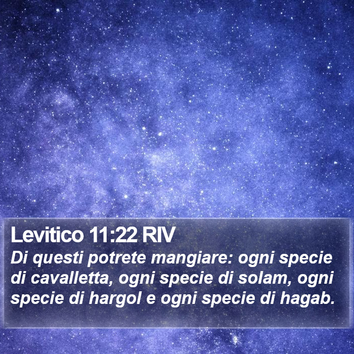 Levitico 11:22 RIV Bible Study