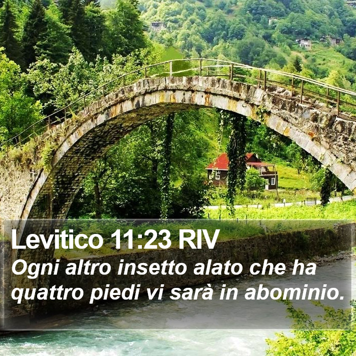Levitico 11:23 RIV Bible Study