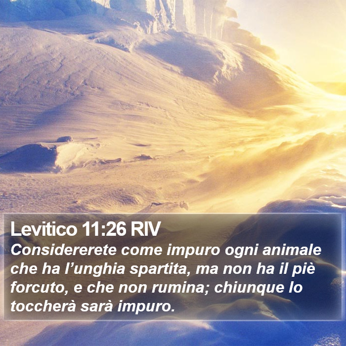 Levitico 11:26 RIV Bible Study