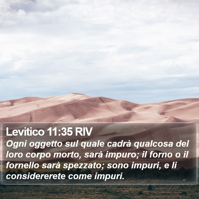 Levitico 11:35 RIV Bible Study