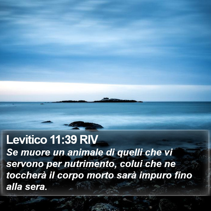 Levitico 11:39 RIV Bible Study