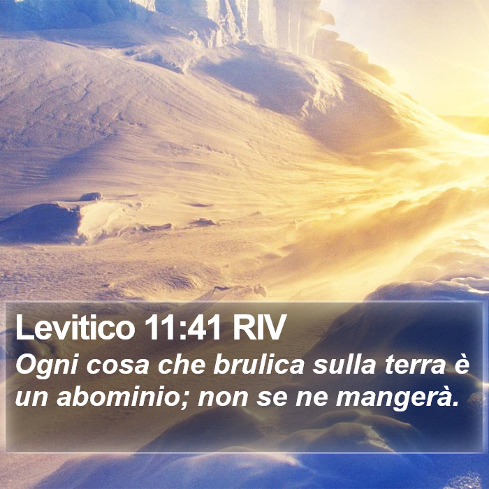 Levitico 11:41 RIV Bible Study