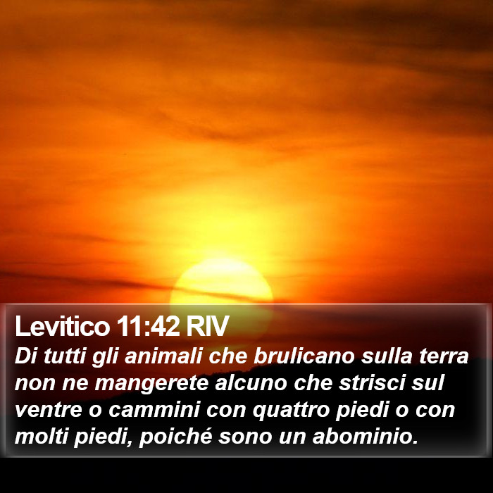 Levitico 11:42 RIV Bible Study