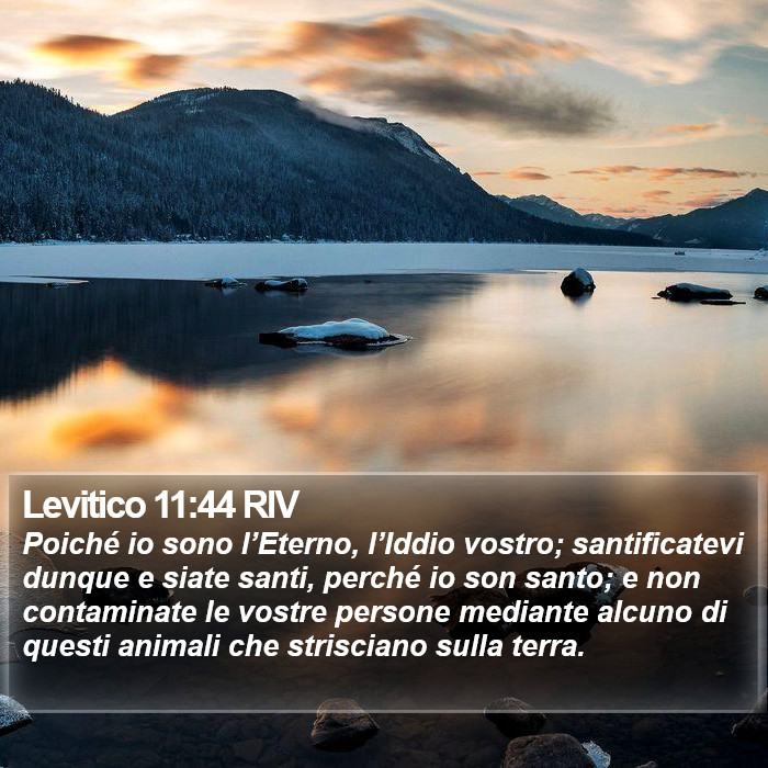 Levitico 11:44 RIV Bible Study
