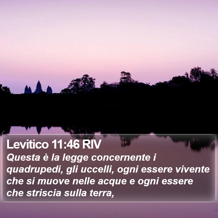 Levitico 11:46 RIV Bible Study
