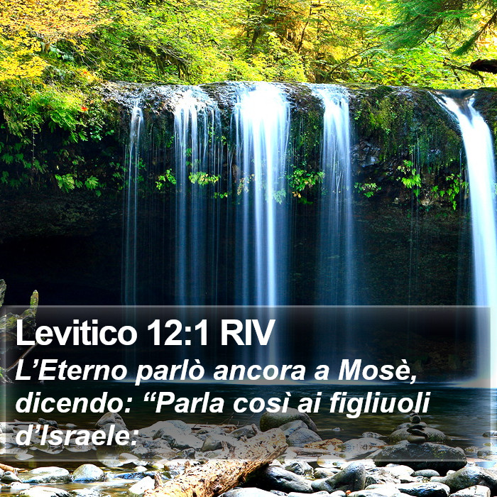 Levitico 12:1 RIV Bible Study