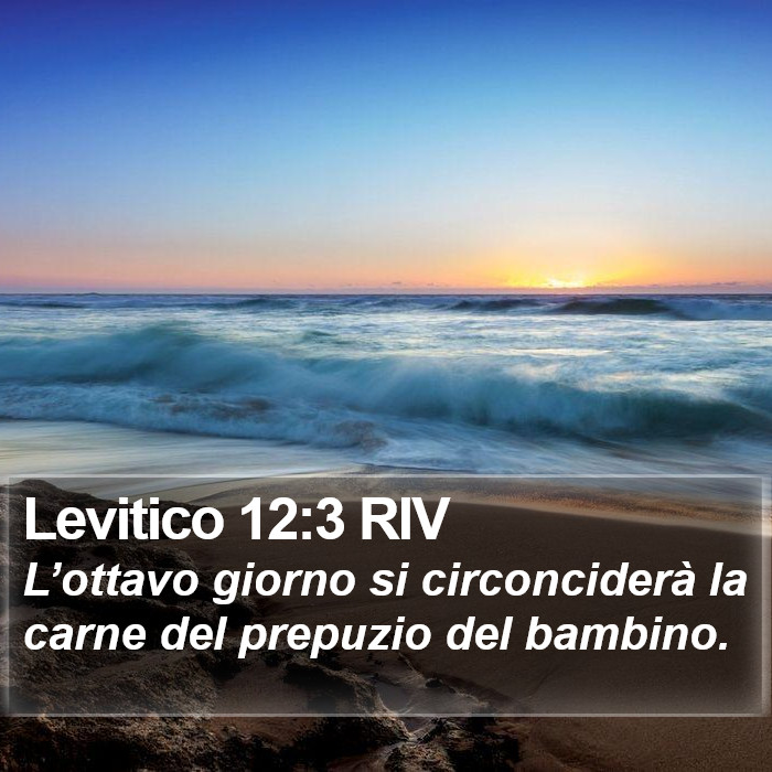 Levitico 12:3 RIV Bible Study