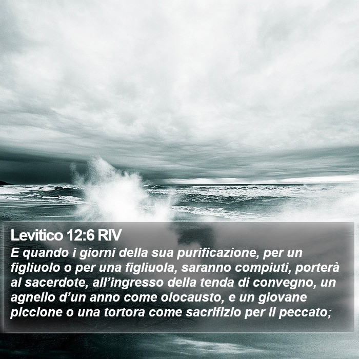 Levitico 12:6 RIV Bible Study