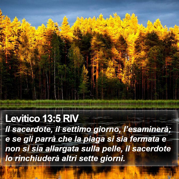 Levitico 13:5 RIV Bible Study