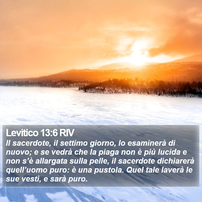 Levitico 13:6 RIV Bible Study