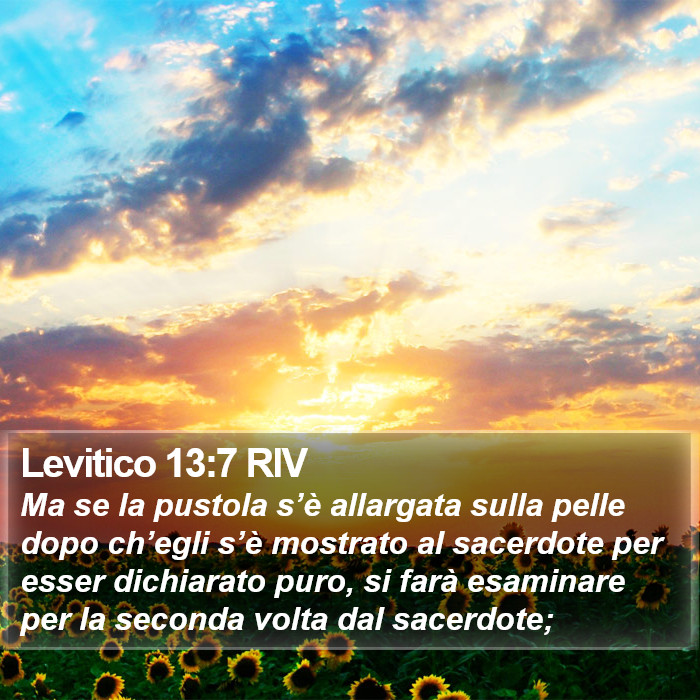 Levitico 13:7 RIV Bible Study