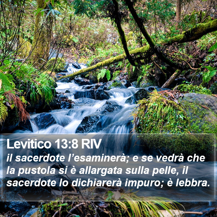 Levitico 13:8 RIV Bible Study