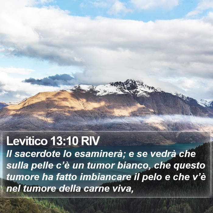 Levitico 13:10 RIV Bible Study