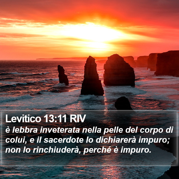 Levitico 13:11 RIV Bible Study