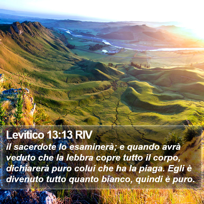 Levitico 13:13 RIV Bible Study