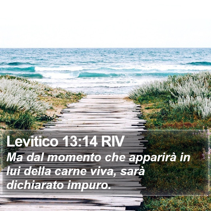 Levitico 13:14 RIV Bible Study