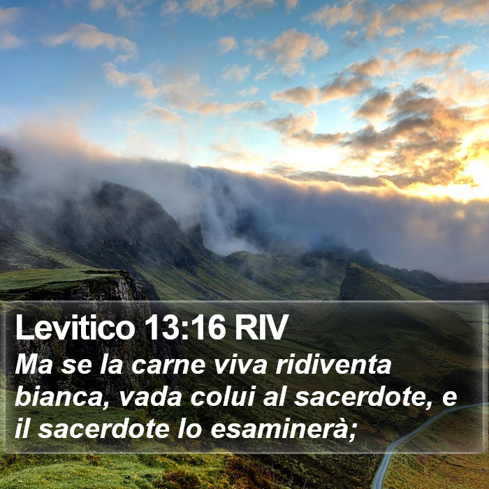 Levitico 13:16 RIV Bible Study