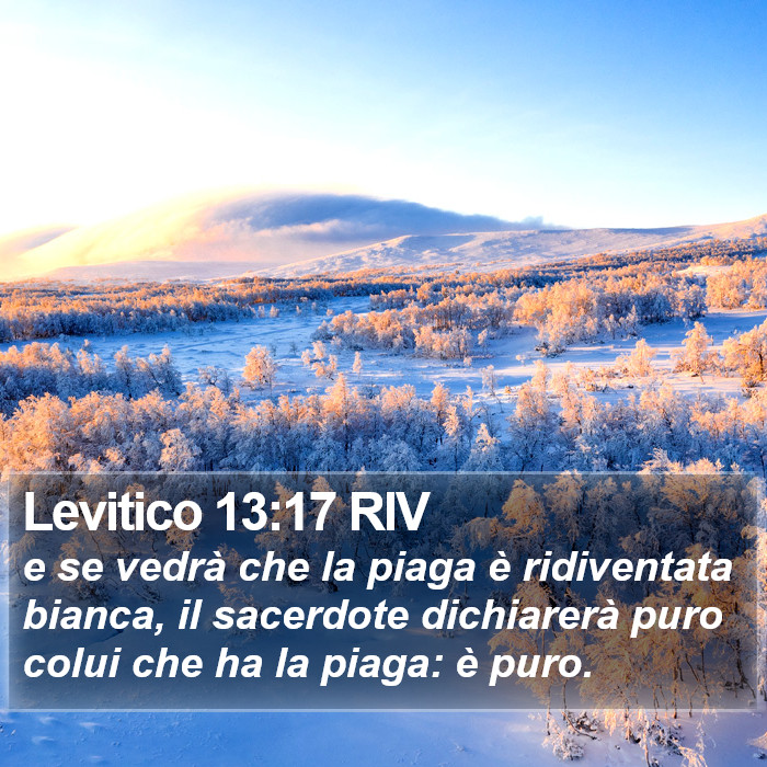 Levitico 13:17 RIV Bible Study