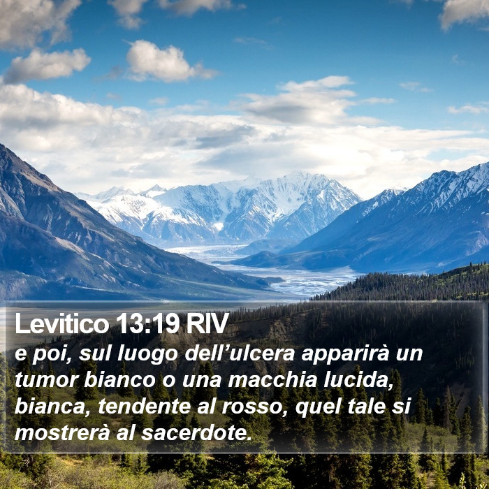 Levitico 13:19 RIV Bible Study