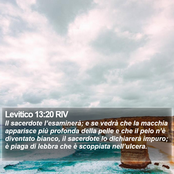 Levitico 13:20 RIV Bible Study